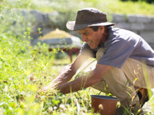 Good news and update from Albagnano – January 2026