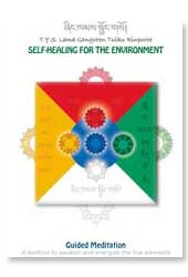 Sadhane Self-Healing for the enviroment EN