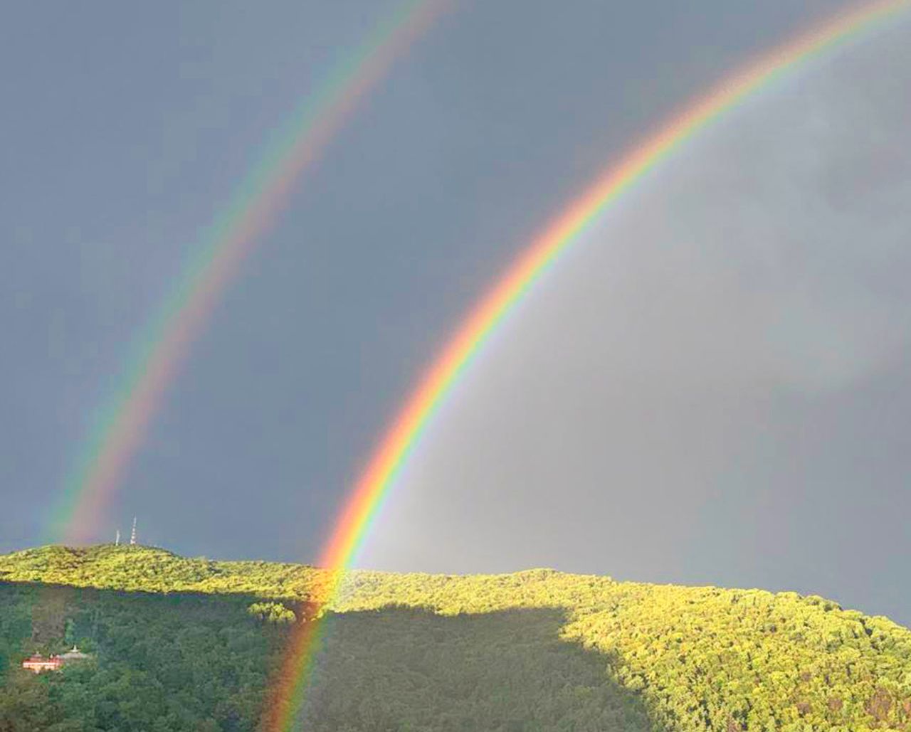 Buone notizie e aggiornamenti da Albagnano